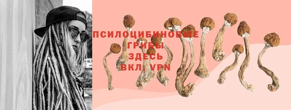 герыч Богородицк