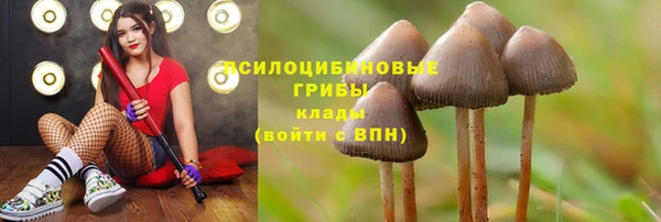 соль ск Белоозёрский