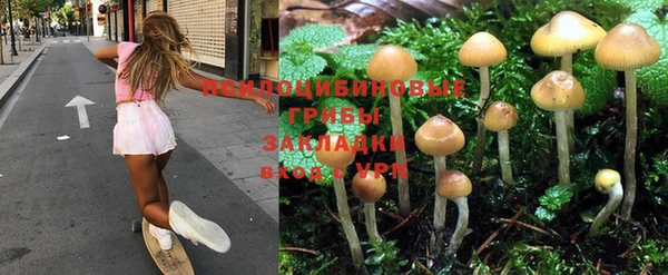 герыч Богородицк