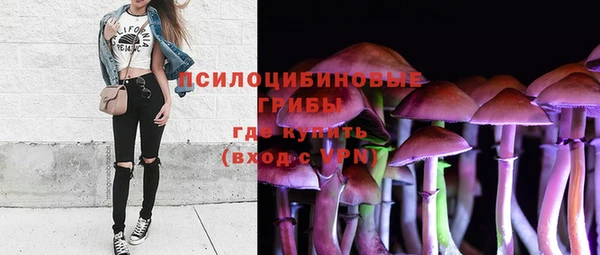 прущая мука Богданович