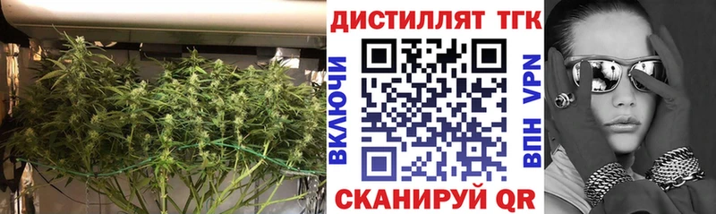 хочу наркоту  Губкинский  ТГК Wax 
