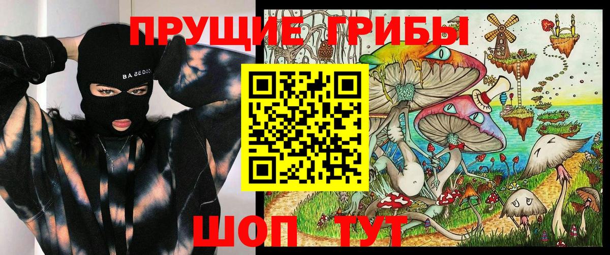 Галлюциногенные грибы Psilocybe Губкинский